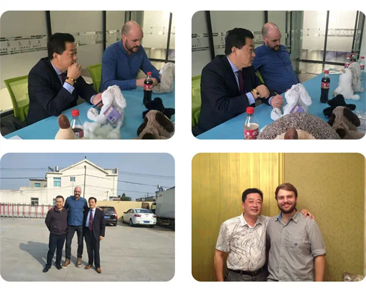 2021 Dancingcactus Dancing Cactus Cross-Border Enchanting Tulip Twisting Music Song Flowers Toy