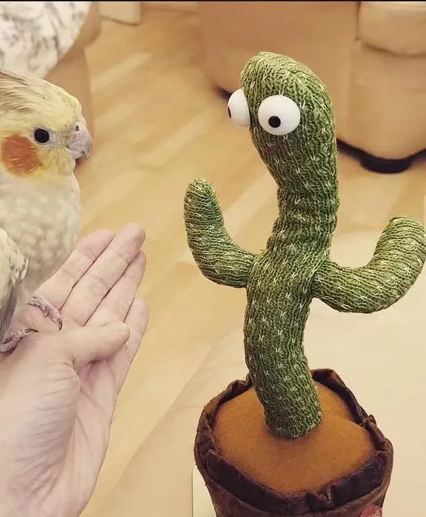 2021 Wholesale Price Stuffed Music Simulation Plush Doll Dancing Cactus Plush Toys