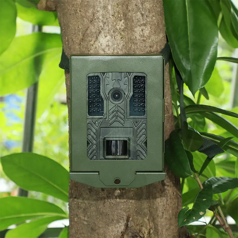 Why Hunting Cameras Are Essential for Modern Hunters?