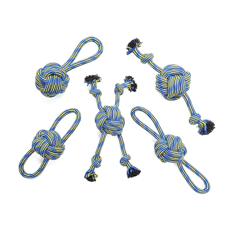 Why Are Dog Toy Sets Becoming a Must-Have for Every Pet Owner?