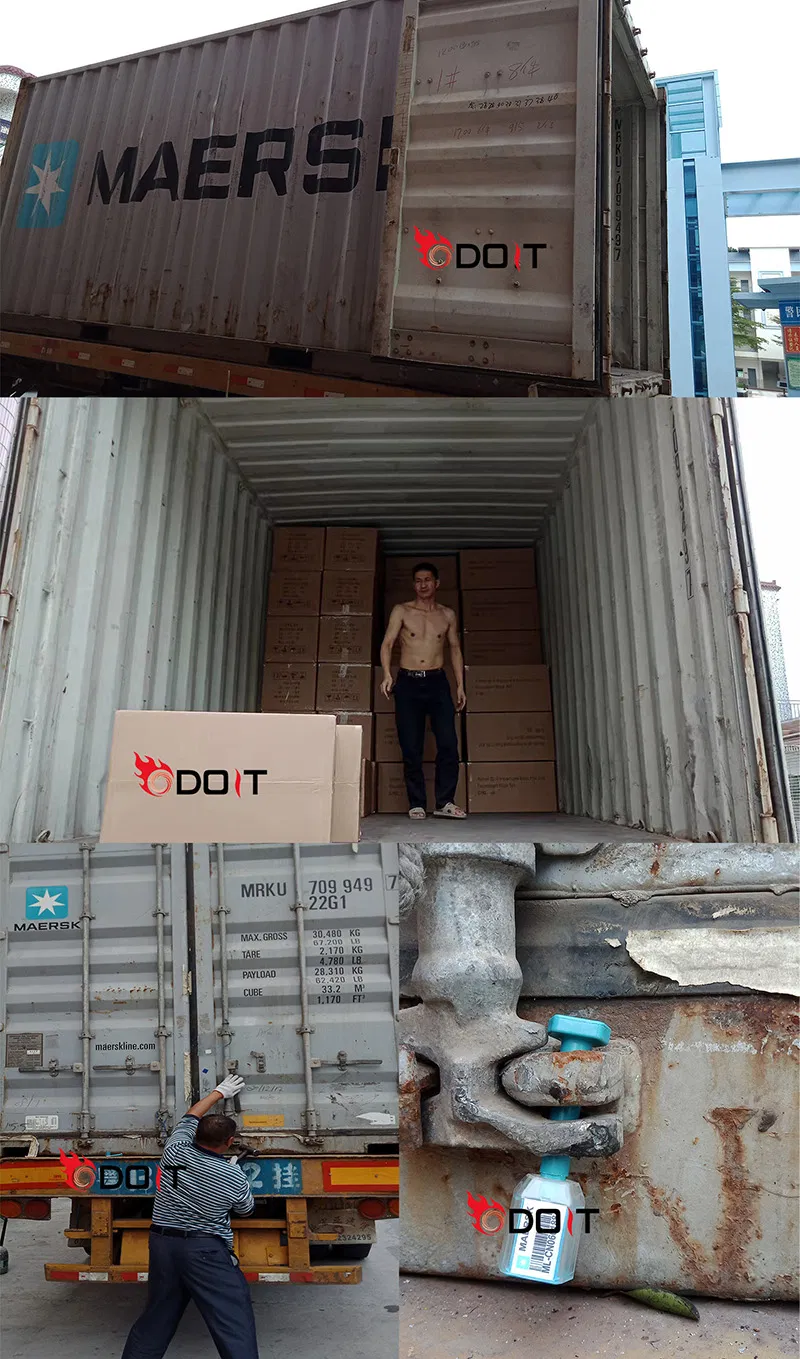 New Design Graduation Stuffed Bear with Cap and Diploma