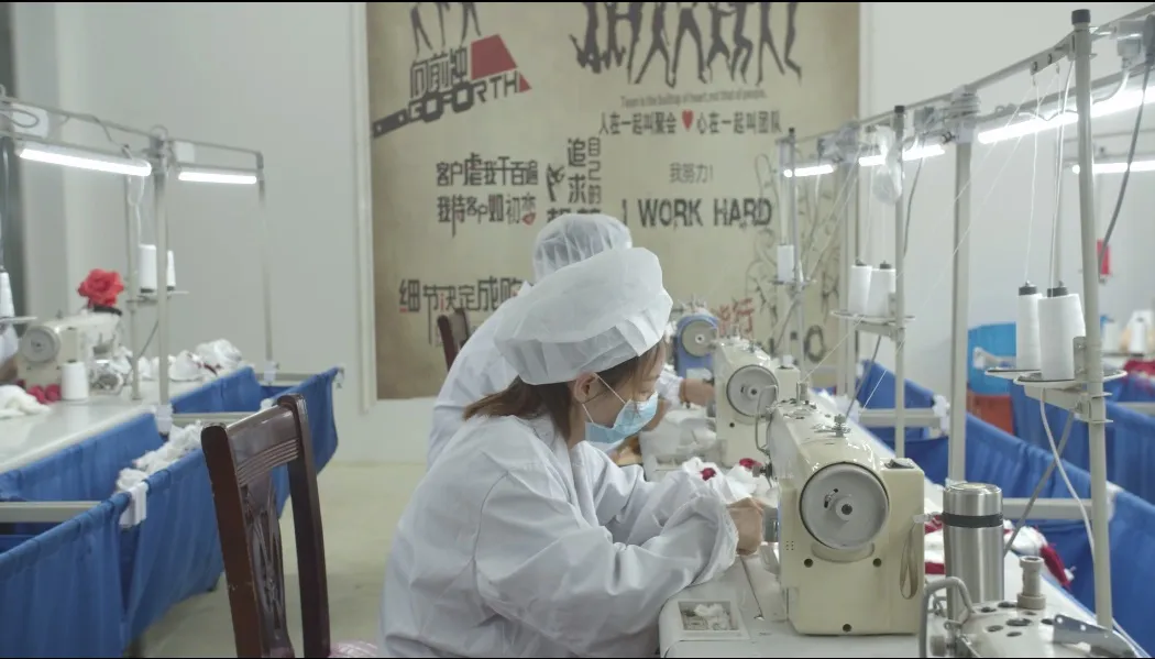 New Fashion Memory Foam Cat