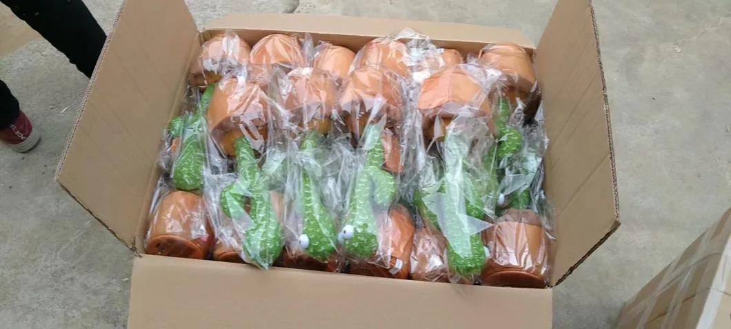 Soft Shake Plush Electric Song with Lightsand Sounds Dancing Cactus Toy