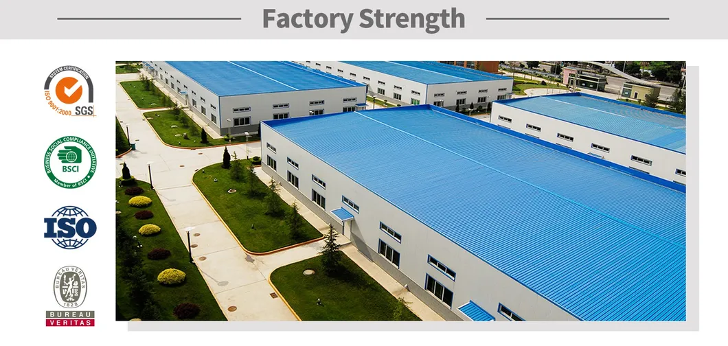 Soft Shake Plush Electric Song with Lightsand Sounds Dancing Cactus Toy